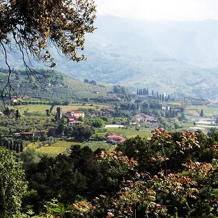 Kır Evi Pedone Lucca