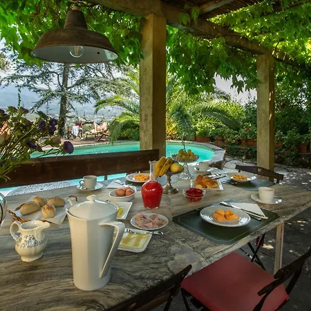 Kır Evi Pedone *