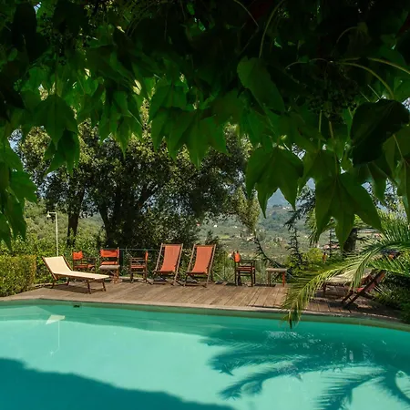 Kır Evi Pedone Lucca